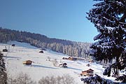 Blick vom Tal hinauf